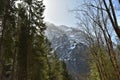 Conifer forest around KlÃÂ¶ntalersee lake in early spring   sunny day in KlÃÂ¶ntal Royalty Free Stock Photo