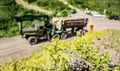 Conifer. Forest industry. Wheel-mounted loader, timber grab. Felling trees,cut trees, fir, fir tree, forest cutting area Royalty Free Stock Photo