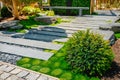 Conifer and slate path with bark mulch and native plants in Japanese garden. Landscaping and gardening concept