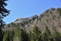 Conifer trees in foreground of rocky cliff of Alps close to KlÃÂ¶ntalersee lake