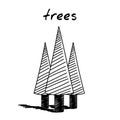 Conifer trees handdrawn icon. Cartoon vector clip art of several even trees. Black and white sketch of spruce or pine tree Royalty Free Stock Photo