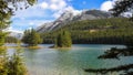 Conifer trees on a small island in the middle of Two Jack lake in Canada