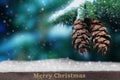 Coniferous branch with pine cones and falling snow Royalty Free Stock Photo