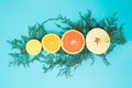 A coniferous branch on which round slices of lemon, orange, grapefruit and apple are arranged. Fruity flat lay concept on a light Royalty Free Stock Photo