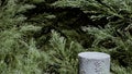 Coniferous branches background and stone podium display. Copy space green background. Natural concrete pedestal. 3d