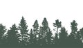 Coniferous and deciduous beautiful forest, silhouette of firs, pines and different deciduous trees. Vector illustration Royalty Free Stock Photo