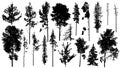 Coniferous and deciduous forest trees, bare trees. Set of silhouettes. Vector illustration Royalty Free Stock Photo