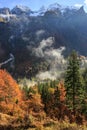 Coniferous and deciduous mountain forest in autumn colors Royalty Free Stock Photo