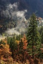 Coniferous and deciduous mountain forest in autumn colors Royalty Free Stock Photo