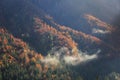 Coniferous and deciduous mountain forest in autumn colors Royalty Free Stock Photo