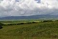 Coniferous and deciduous trees, agricultural fields and fresh meadows with different grass with flowering wild flowers Royalty Free Stock Photo