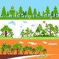 Coniferous Deciduous Tropical Forest Banners Royalty Free Stock Photo