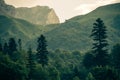Coniferous deep Forest in Mountains Caucasus Royalty Free Stock Photo