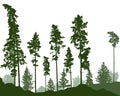 Coniferous forest, beautiful silhouettes of pines, fir trees, bushes. Vector illustration Royalty Free Stock Photo