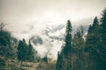 Coniferous Forest with cloudy Mountains Royalty Free Stock Photo