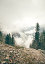 Coniferous Forest with cloudy Mountains Caucasus Royalty Free Stock Photo