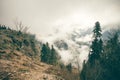 Coniferous Forest with cloudy Mountains Caucasus Royalty Free Stock Photo