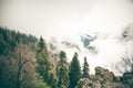 Coniferous Forest with cloudy Mountains Caucasus Royalty Free Stock Photo