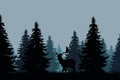 Coniferous forest with a fallow deer