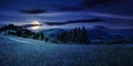 coniferous forest on a hill near the path through the meadow in mountainous rural landscape at night