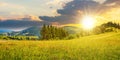 coniferous forest on a hill at sunset. path through the meadow in mountains Royalty Free Stock Photo