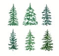 A coniferous forest illustration. Watercolor pine trees set. Hand-painted nature graphics Royalty Free Stock Photo