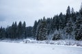 Coniferous forest and mountain lake with snow-covered scenery Royalty Free Stock Photo