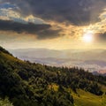 Coniferous forest on a mountain slope at sunset Royalty Free Stock Photo