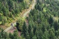 Coniferous forest, road and a small wooden house for hunters in the forest Schwarzwald, Germany