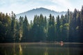 coniferous forest on the shore reflecting in the water Royalty Free Stock Photo