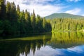 coniferous forest on the shore reflecting in the water Royalty Free Stock Photo