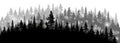 180_Coniferous forest silhouette. Forest background in aerial perspective