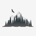 Coniferous forest silhouette with mountain peak Royalty Free Stock Photo