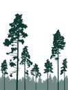 Coniferous forest, silhouette of pine trees, vertical landscape after deforestation. Vector illustration