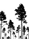 Coniferous forest, silhouette of pine trees, vertical landscape after deforestation. Vector illustration Royalty Free Stock Photo