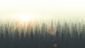 Coniferous forest silhouette template. Sunset, sunrise, dusk Royalty Free Stock Photo