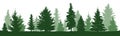 Trees Pine, Fir, Spruce, Christmas Tree. Isolated