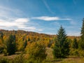 Coniferous forests on the slopes of Mount Vitorog Royalty Free Stock Photo