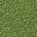 Coniferous Green Surface. Seamless Texture. Royalty Free Stock Photo