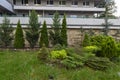 Coniferous ornamental plants in a city park. Gardening and Landscaping With Decorative Trees and Plants.