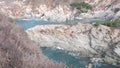 Coniferous pine cypress tree, rock, crag or cliff, ocean beach, California coast Royalty Free Stock Photo