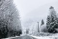 Coniferous snowy forest in the Rocky Mountains. Royalty Free Stock Photo