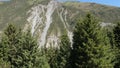 Coniferous spruce and high Tien Shan mountains covered green forest landscape