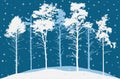 Coniferous winter forest at night. Silhouette of nature, landscape. Beautiful realistic pine trees. Vector illustration