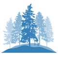 Coniferous winter spruce trees. Silhouette of beautiful nature, landscape. Vector illustration