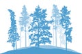 Coniferous winter trees, pines. Silhouette of beautiful nature, landscape. Vector illustration Royalty Free Stock Photo