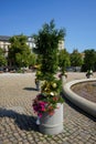 Conifers, petunias and geraniums grow in flower pots near the fountain at Luisenplatz in July. Potsdam, Germany