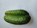 Conjoined green cucumbers siamese twins Royalty Free Stock Photo