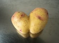 Conjoined potato on a stainless steel kitchen sink Royalty Free Stock Photo