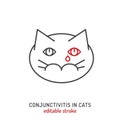 Conjunctivitis in cats. Linear icon, pictogram, symbol.